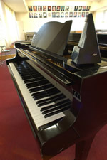 �O�����h�s�A�m